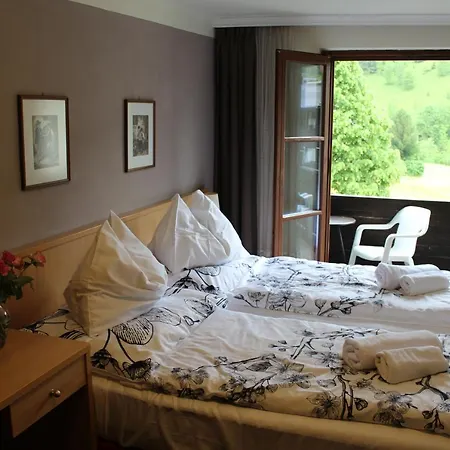 Hotel Alt Kirchheim *