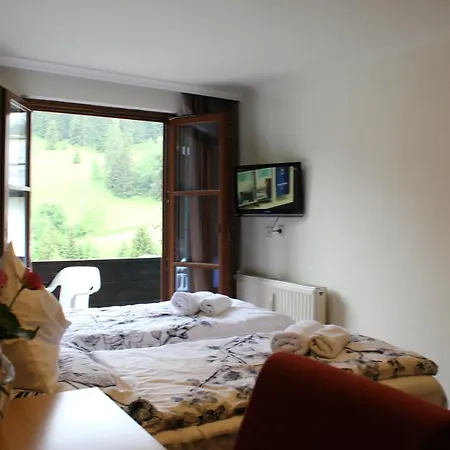 Hotel Alt Kirchheim *